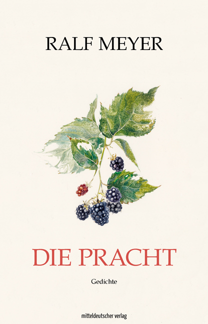 Ralf Meyer: Die Pracht