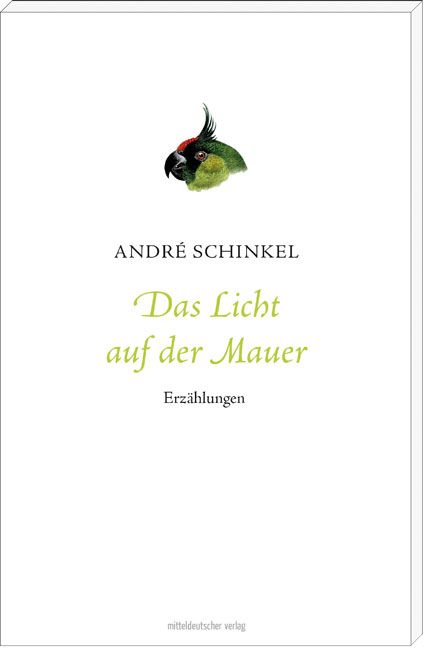 André Schinkel: Das Licht auf der Mauer